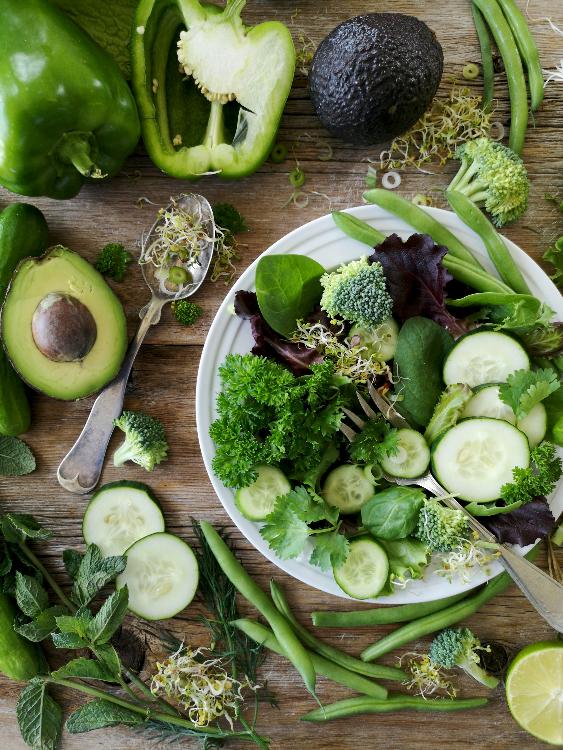 Unlocking Heart Health: The Science and Practical Benefits of Plant-Based Diets