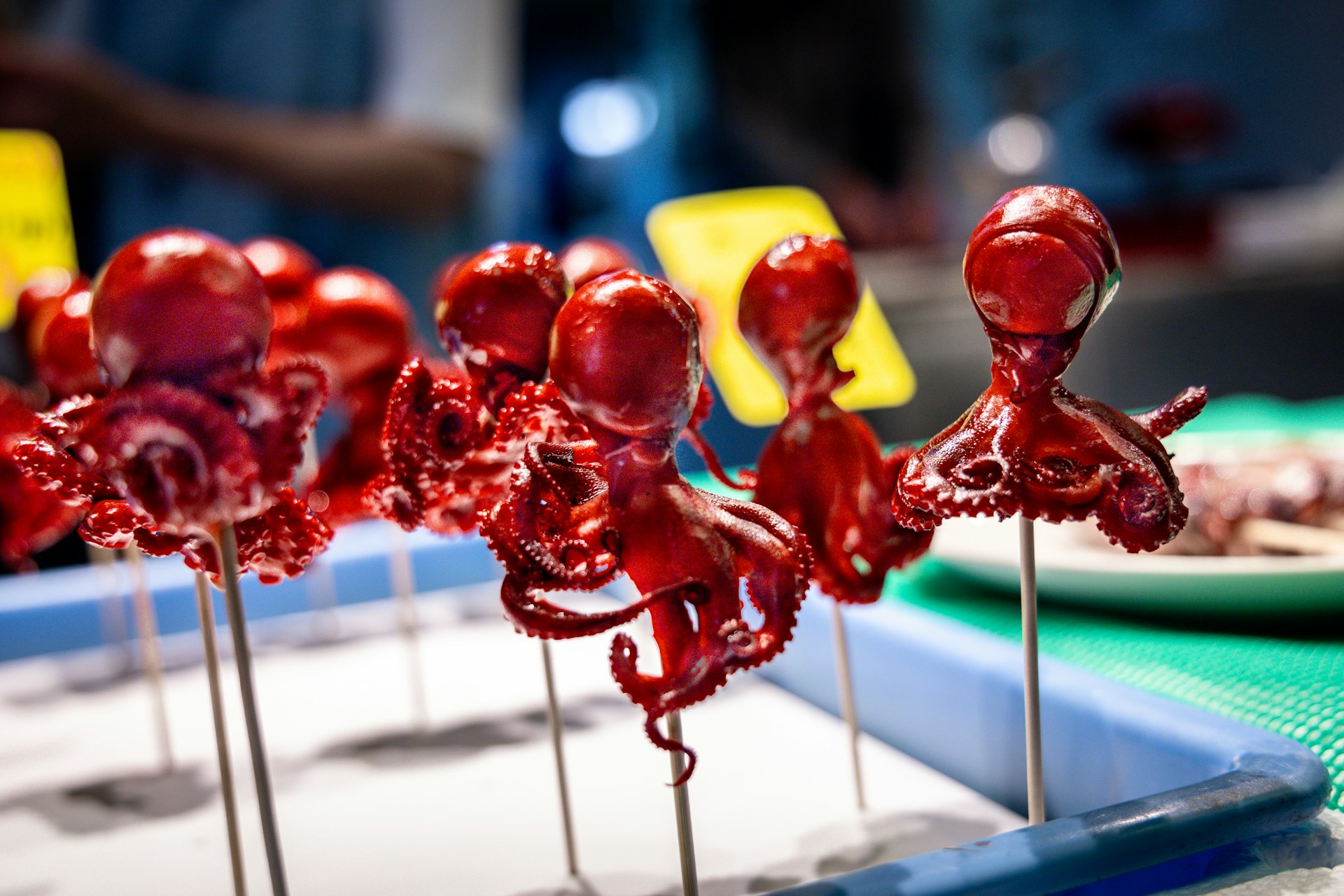 Pioneering the Future: How Artificial Organs Are Transforming Healthcare