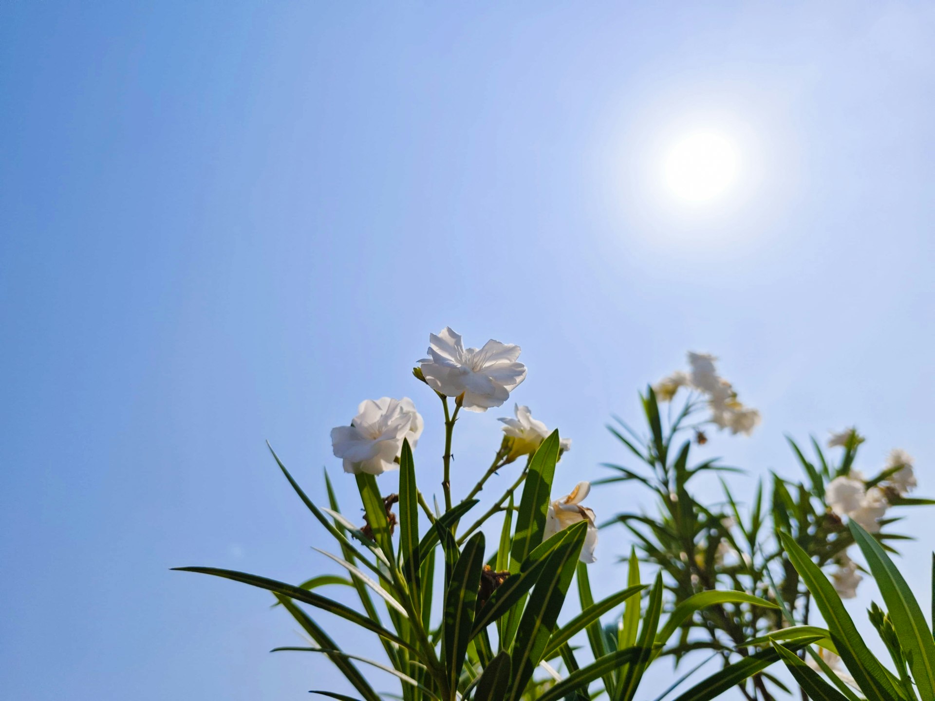 Sun Exposure: Essential Guidance for Maintaining Healthy Vitamin D Levels