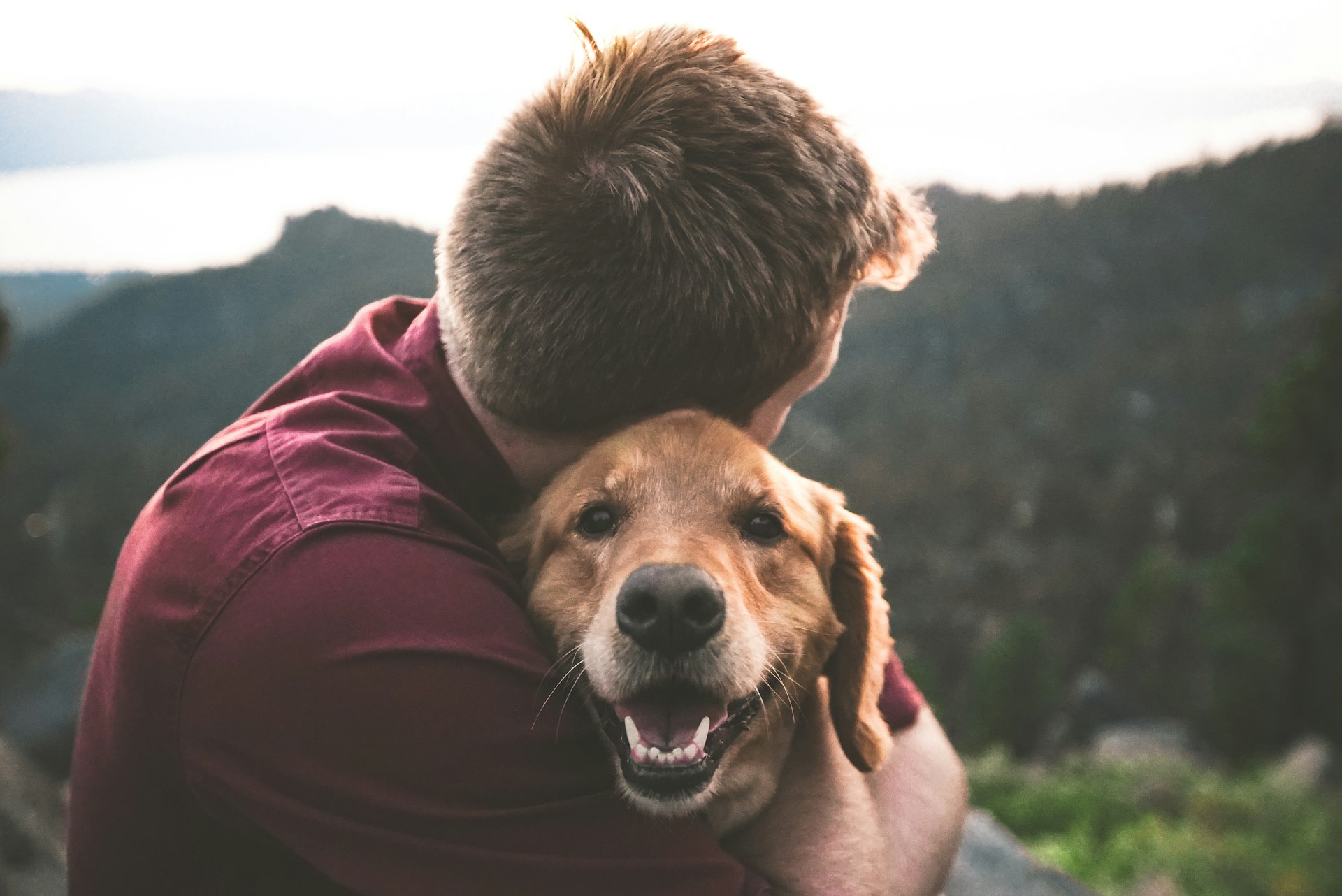 Unlocking the Power of Emotional Support Animals: Enhancing Mental Wellness and Daily Living